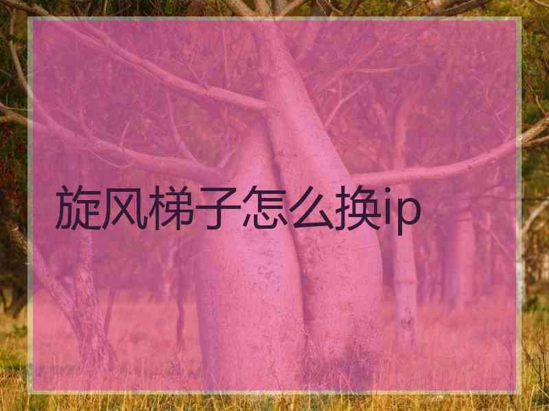 旋风梯子怎么换ip