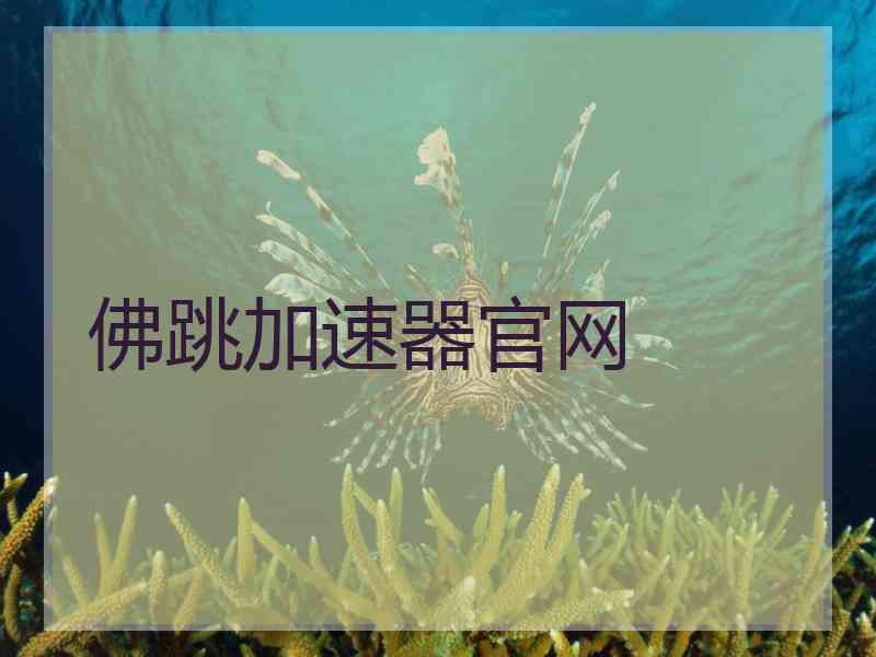 佛跳加速器官网