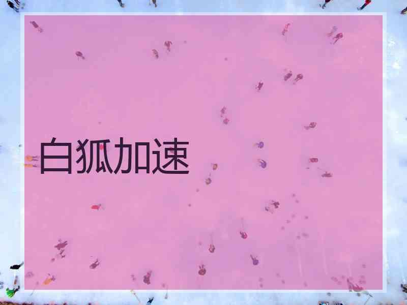 白狐加速