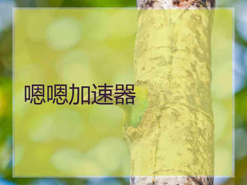 嗯嗯加速器
