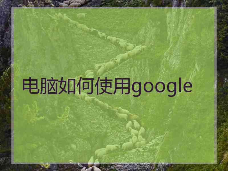 电脑如何使用google