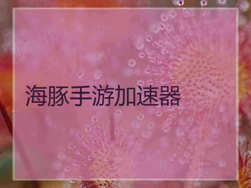 海豚手游加速器