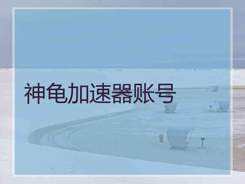 神龟加速器账号