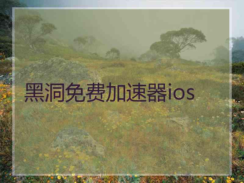 黑洞免费加速器ios