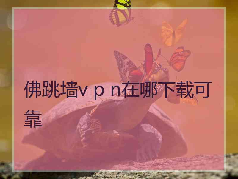 佛跳墙v p n在哪下载可靠