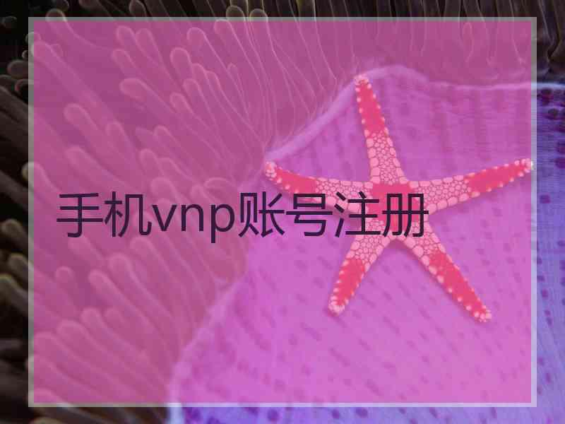 手机vnp账号注册