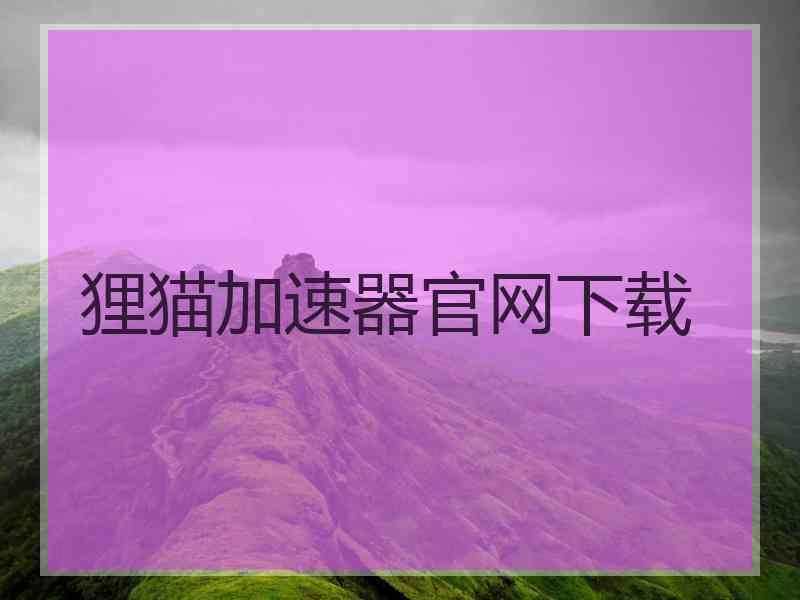 狸猫加速器官网下载