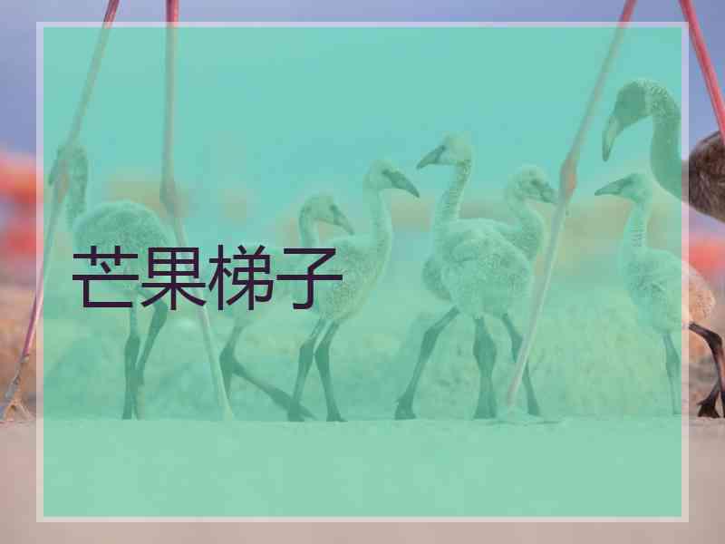 芒果梯子