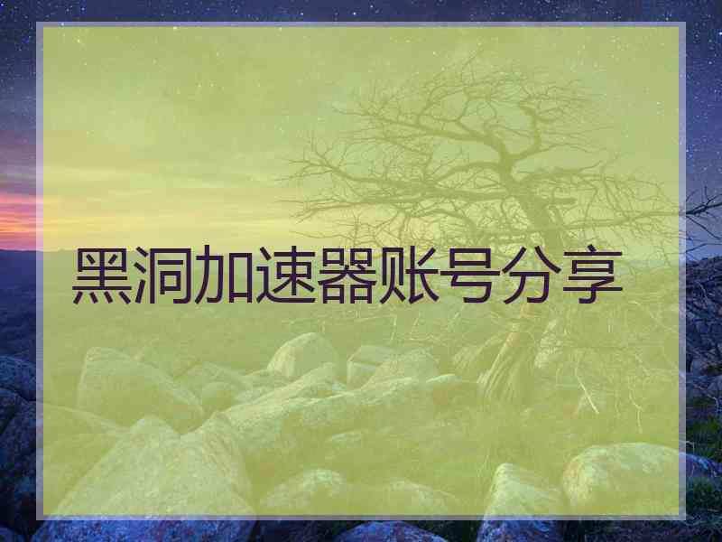 黑洞加速器账号分享