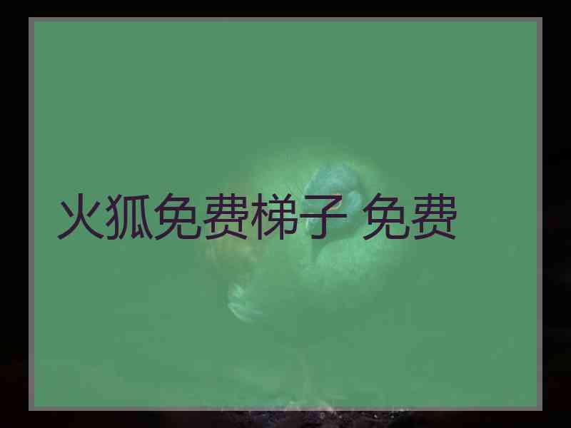 火狐免费梯子 免费