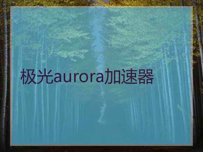 极光aurora加速器
