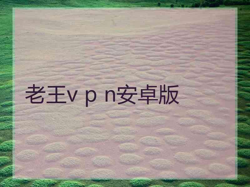 老王v p n安卓版
