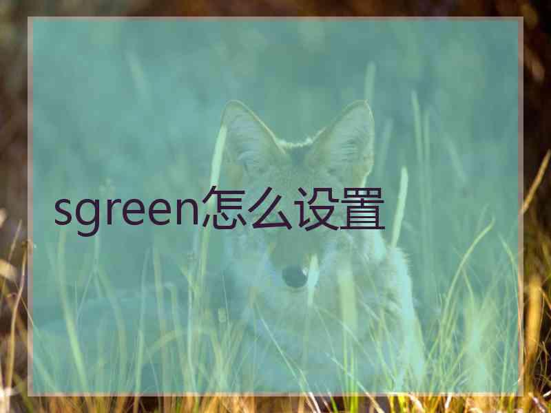sgreen怎么设置