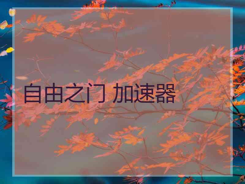 自由之门 加速器