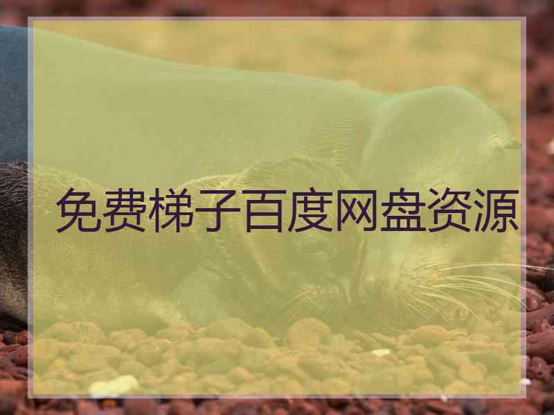 免费梯子百度网盘资源