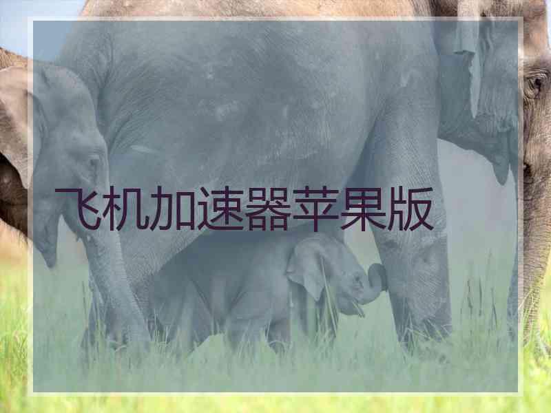 飞机加速器苹果版