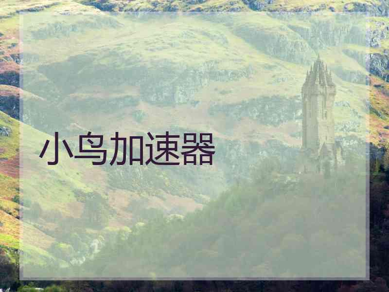 小鸟加速器