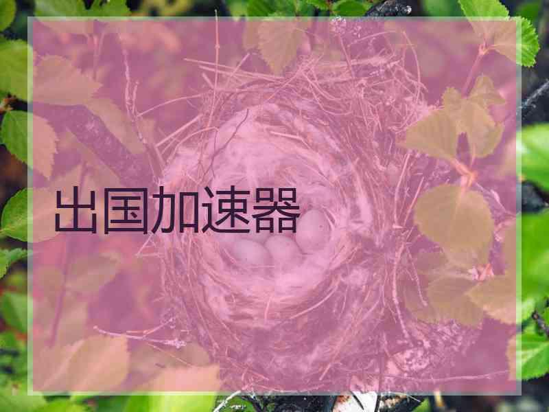 出国加速器