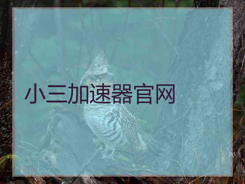 小三加速器官网