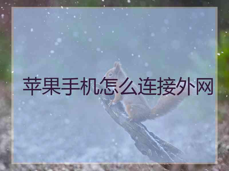 苹果手机怎么连接外网
