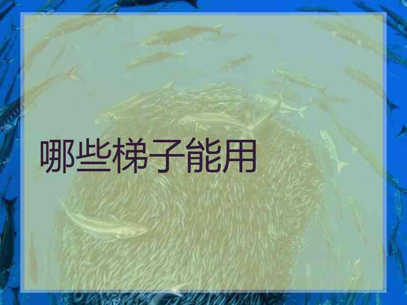 哪些梯子能用