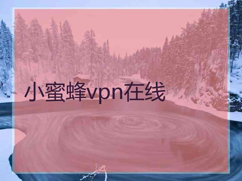 小蜜蜂vpn在线