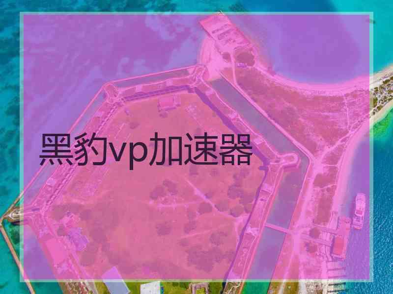 黑豹vp加速器