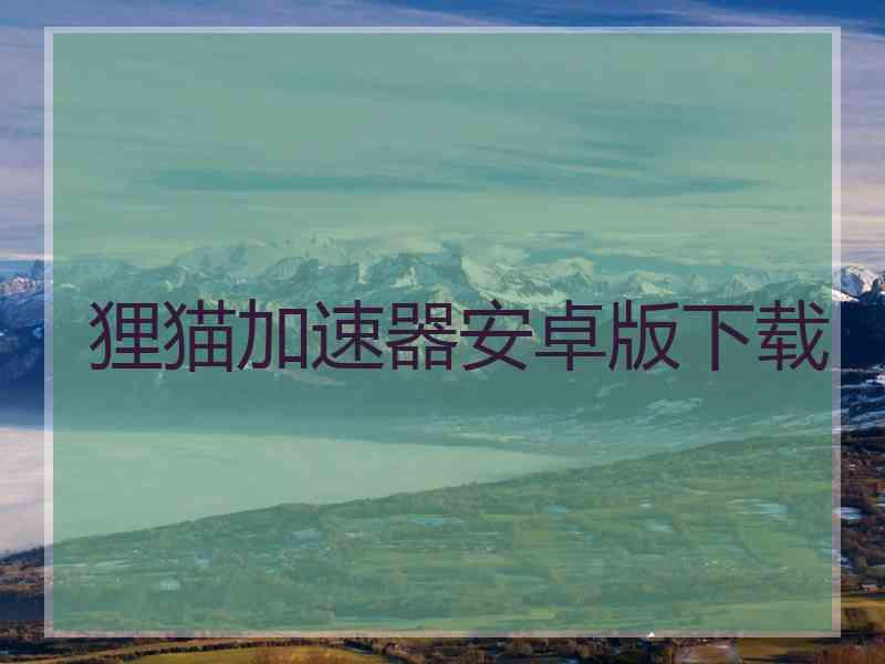 狸猫加速器安卓版下载