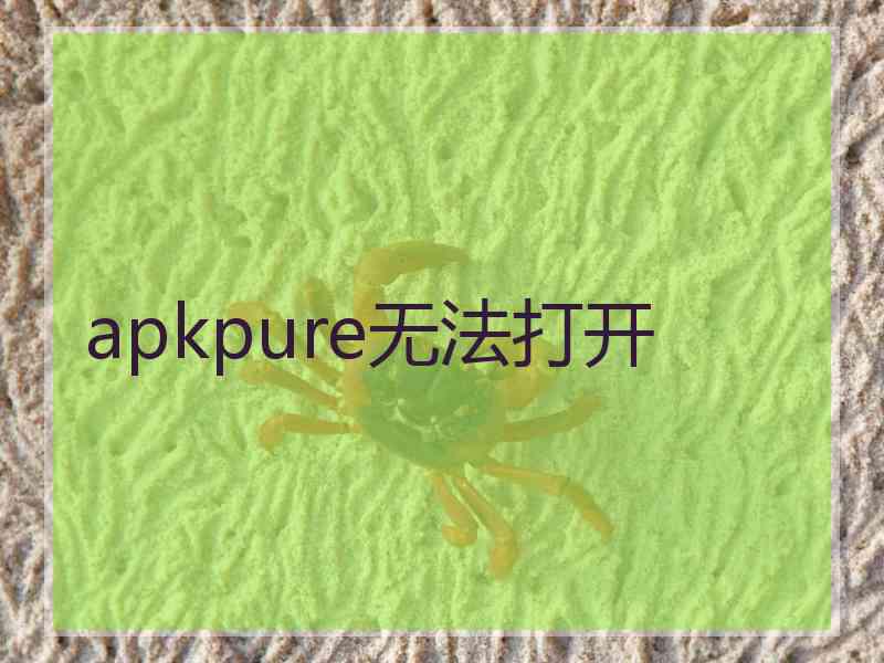 apkpure无法打开