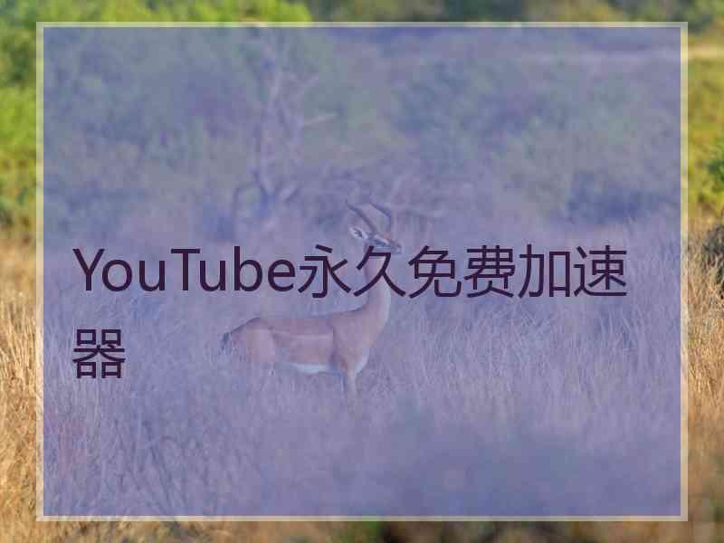 YouTube永久免费加速器