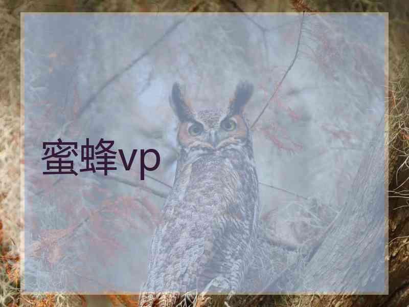 蜜蜂vp