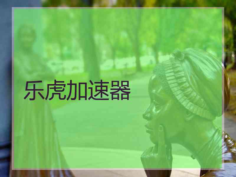 乐虎加速器