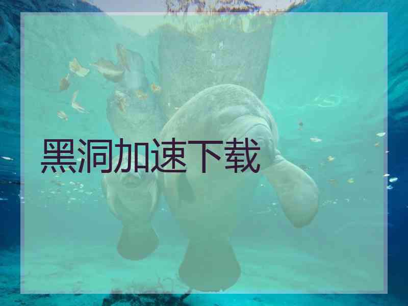 黑洞加速下载