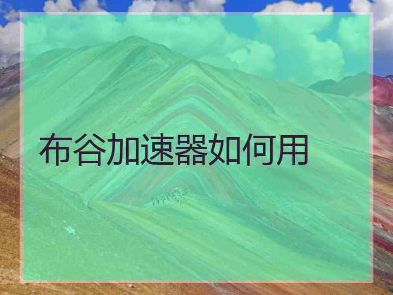 布谷加速器如何用