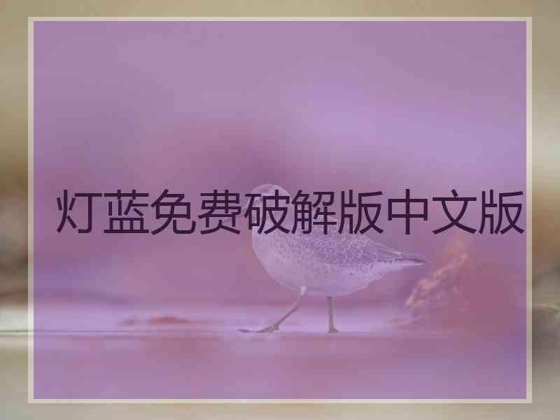 灯蓝免费破解版中文版