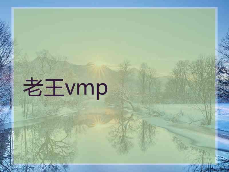 老王vmp