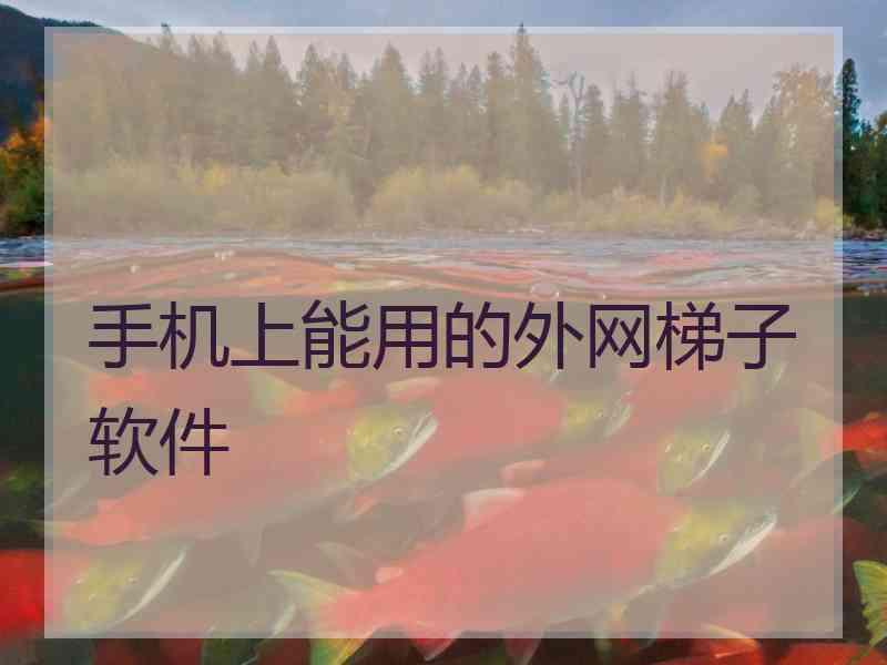 手机上能用的外网梯子软件