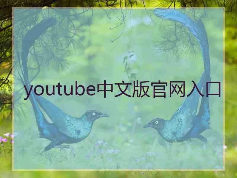 youtube中文版官网入口