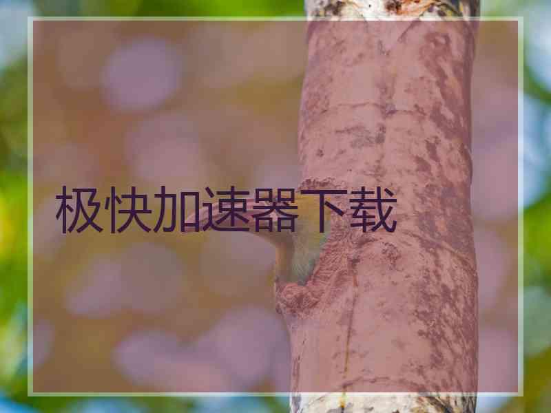 极快加速器下载