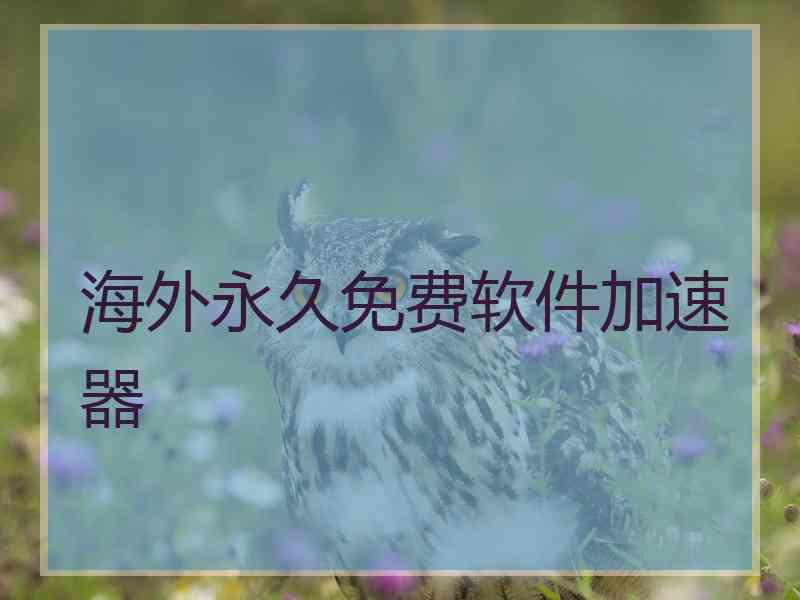 海外永久免费软件加速器