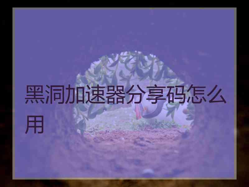 黑洞加速器分享码怎么用
