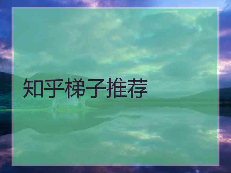 知乎梯子推荐