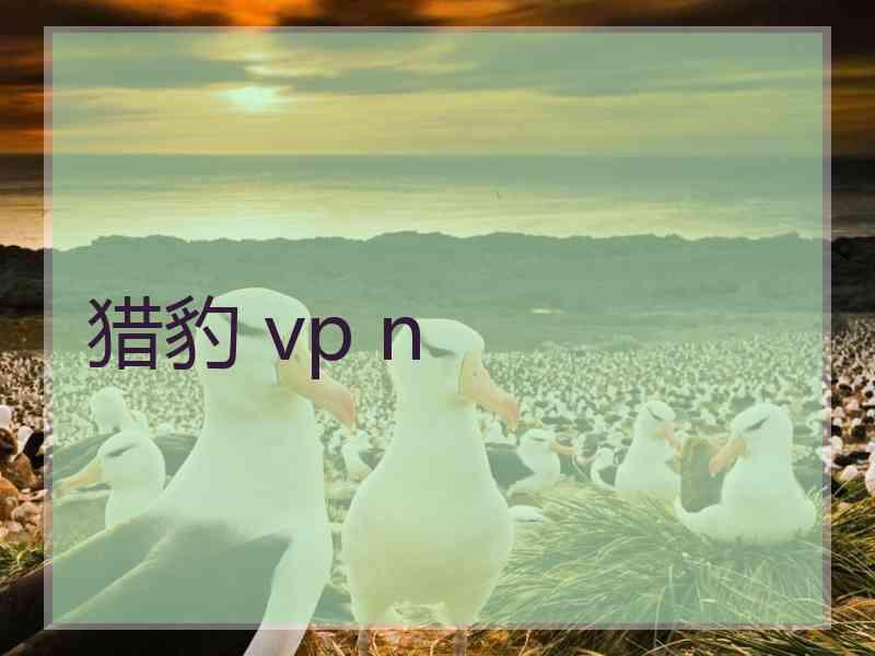 猎豹 vp n