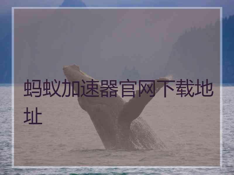 蚂蚁加速器官网下载地址