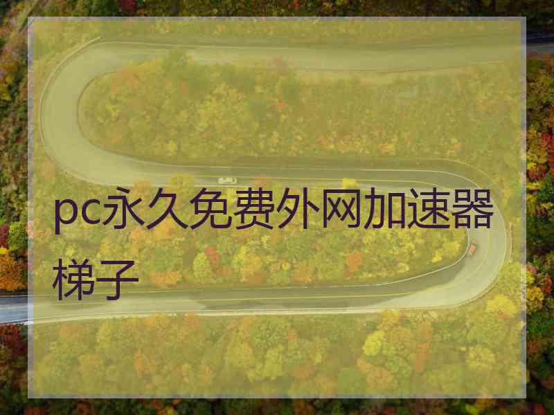 pc永久免费外网加速器梯子