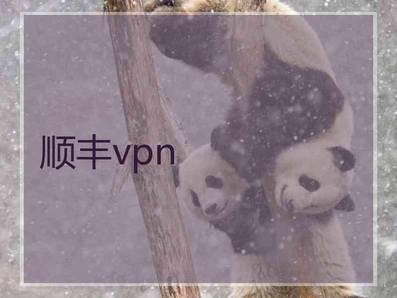 顺丰vpn