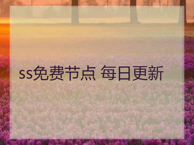 ss免费节点 每日更新