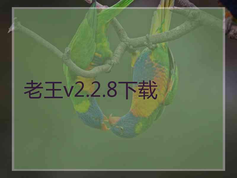 老王v2.2.8下载
