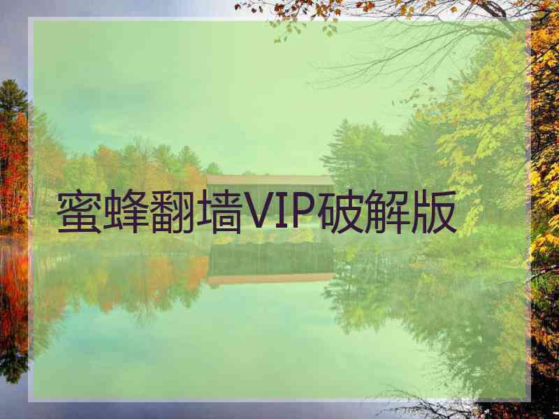 蜜蜂翻墙VIP破解版