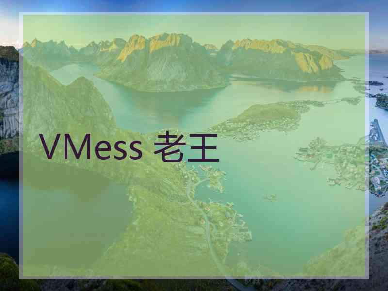 VMess 老王